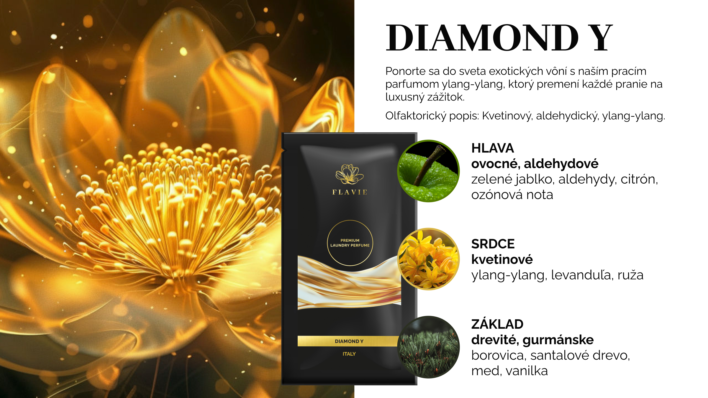 Diamond Y_SK
